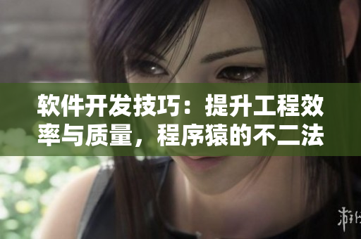 軟件開(kāi)發(fā)技巧：提升工程效率與質(zhì)量，程序猿的不二法門(mén)