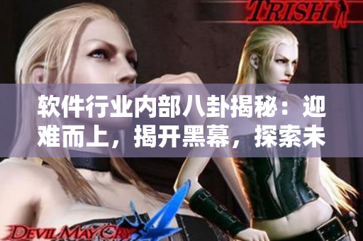 軟件行業(yè)內(nèi)部八卦揭秘：迎難而上，揭開黑幕，探索未知，洞察行業(yè)萬里長征