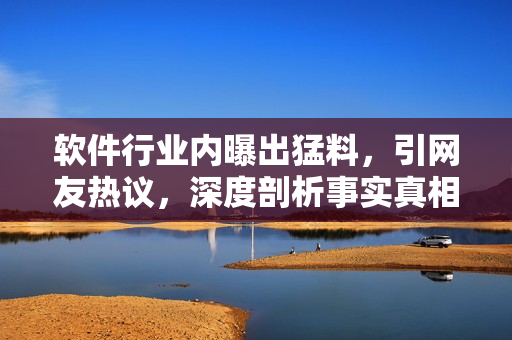 軟件行業(yè)內(nèi)曝出猛料，引網(wǎng)友熱議，深度剖析事實真相