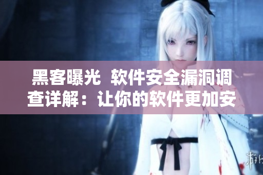 黑客曝光  軟件安全漏洞調(diào)查詳解：讓你的軟件更加安全可靠