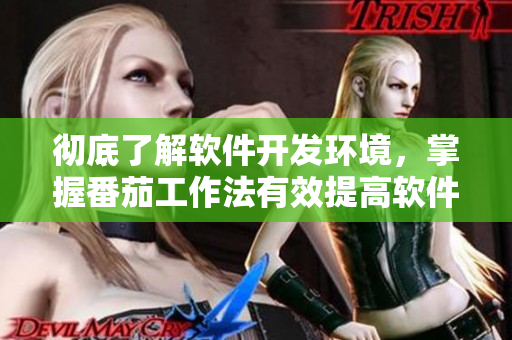 徹底了解軟件開發(fā)環(huán)境，掌握番茄工作法有效提高軟件編寫效率