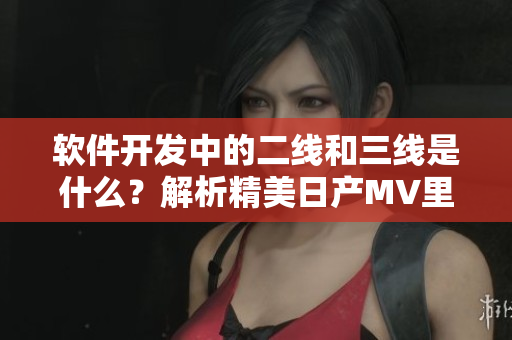 軟件開發(fā)中的二線和三線是什么？解析精美日產(chǎn)MV里的術(shù)語