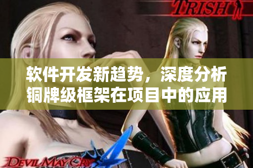 軟件開發(fā)新趨勢(shì)，深度分析銅牌級(jí)框架在項(xiàng)目中的應(yīng)用和優(yōu)勢(shì)
