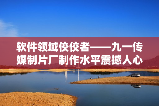軟件領(lǐng)域佼佼者——九一傳媒制片廠制作水平震撼人心