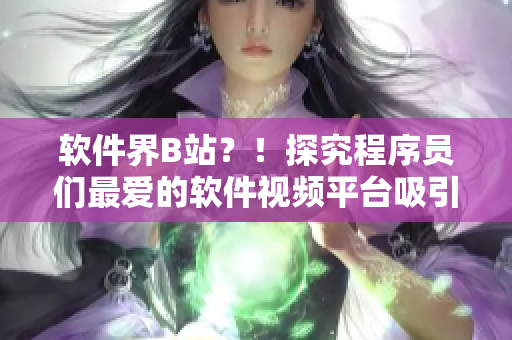 軟件界B站？！探究程序員們最?lèi)?ài)的軟件視頻平臺(tái)吸引何等巨量用戶