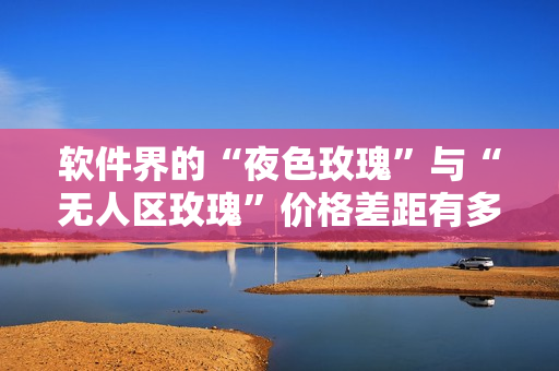 軟件界的“夜色玫瑰”與“無(wú)人區(qū)玫瑰”價(jià)格差距有多大？