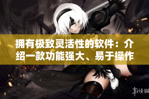 擁有極致靈活性的軟件：介紹一款功能強(qiáng)大、易于操作的伸縮式軟件。