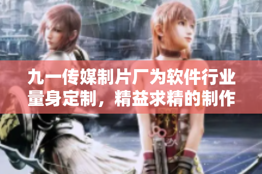 九一傳媒制片廠為軟件行業(yè)量身定制，精益求精的制作水平令軟件行業(yè)為之驚嘆