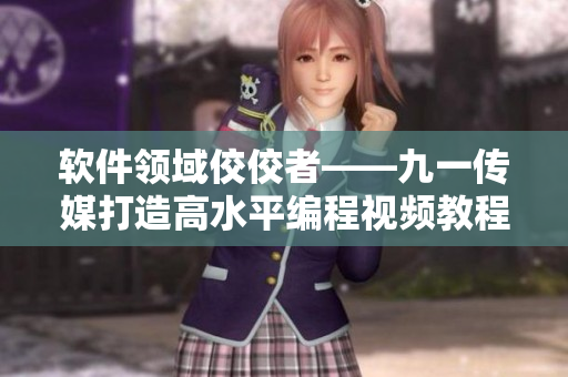軟件領(lǐng)域佼佼者——九一傳媒打造高水平編程視頻教程