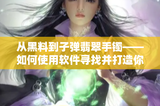 從黑料到子彈翡翠手鐲——如何使用軟件尋找并打造你的極限優(yōu)勢！