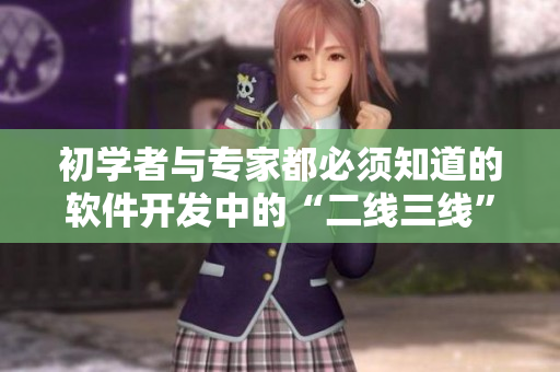 初學(xué)者與專家都必須知道的軟件開發(fā)中的“二線三線”是什么？