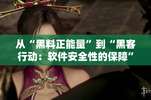 從“黑料正能量”到“黑客行動：軟件安全性的保障”