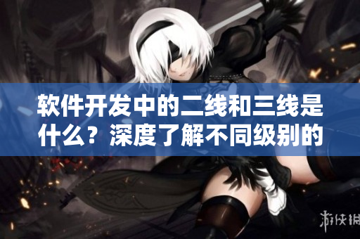 軟件開(kāi)發(fā)中的二線(xiàn)和三線(xiàn)是什么？深度了解不同級(jí)別的開(kāi)發(fā)工程師