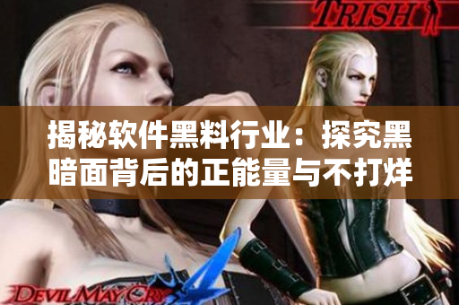 揭秘軟件黑料行業(yè)：探究黑暗面背后的正能量與不打烊的現(xiàn)實