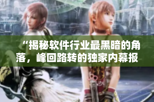 “揭秘軟件行業(yè)最黑暗的角落,峰回路轉的獨家內(nèi)幕報道” “揭秘軟件行業(yè)最黑暗的角落,峰回路轉的獨家內(nèi)幕報道”