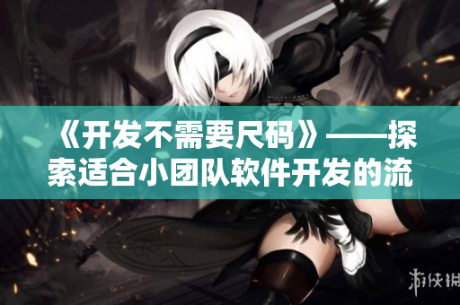 《開發(fā)不需要尺碼》——探索適合小團(tuán)隊(duì)軟件開發(fā)的流程和工具