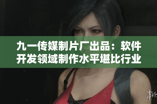 九一傳媒制片廠出品：軟件開發(fā)領域制作水平堪比行業(yè)頂尖