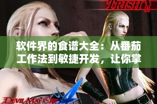 軟件界的食譜大全：從番茄工作法到敏捷開發(fā)，讓你掌握軟件開發(fā)的訣竅