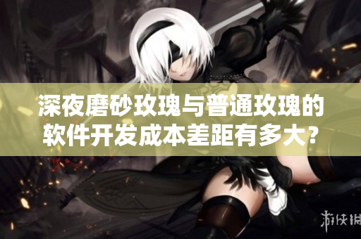 深夜磨砂玫瑰與普通玫瑰的軟件開發(fā)成本差距有多大？