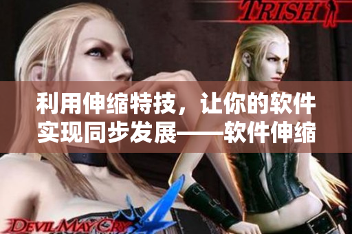 利用伸縮特技，讓你的軟件實現(xiàn)同步發(fā)展——軟件伸縮技術的應用視頻教程