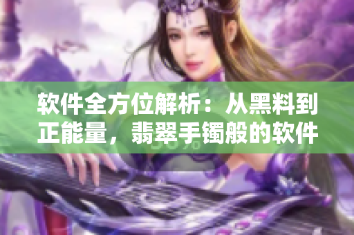 軟件全方位解析：從黑料到正能量，翡翠手鐲般的軟件生命周期