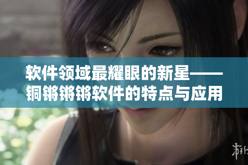 軟件領域最耀眼的新星——銅鏘鏘鏘軟件的特點與應用全面解讀