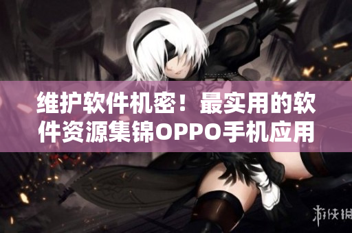 維護軟件機密！最實用的軟件資源集錦OPPO手機應(yīng)用匯總