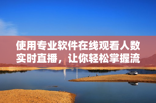 使用專業(yè)軟件在線觀看人數(shù)實(shí)時(shí)直播，讓你輕松掌握流量趨勢(shì)！