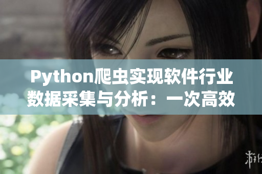 Python爬蟲實現(xiàn)軟件行業(yè)數(shù)據(jù)采集與分析：一次高效的技術(shù)晉升之旅。
