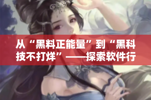 從“黑料正能量”到“黑科技不打烊”——探索軟件行業(yè)24小時不停歇的奧秘