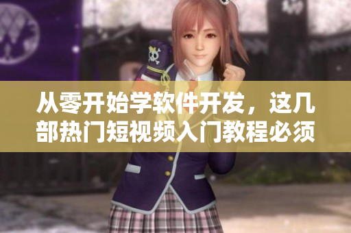從零開始學(xué)軟件開發(fā)，這幾部熱門短視頻入門教程必須掌握！