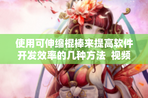 使用可伸縮棍棒來提高軟件開發(fā)效率的幾種方法  視頻演示