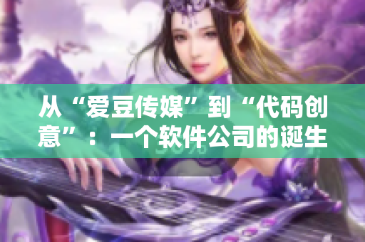 從“愛(ài)豆傳媒”到“代碼創(chuàng)意”：一個(gè)軟件公司的誕生故事