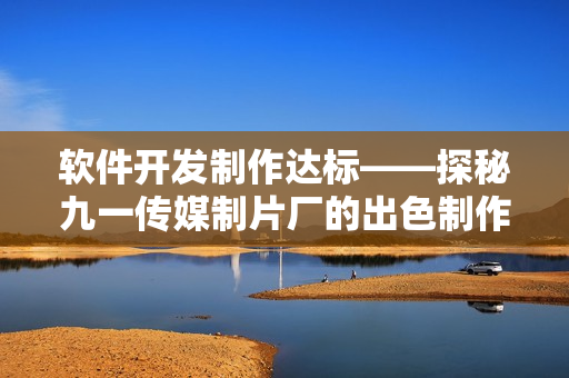 軟件開發(fā)制作達標——探秘九一傳媒制片廠的出色制作水平