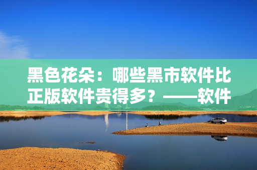 黑色花朵：哪些黑市軟件比正版軟件貴得多？——軟件編輯專(zhuān)訪
