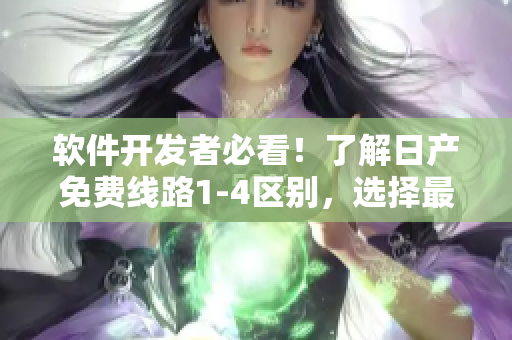 軟件開發(fā)者必看！了解日產(chǎn)免費(fèi)線路1-4區(qū)別，選擇最適合你的開發(fā)工具