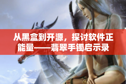 從黑盒到開源，探討軟件正能量——翡翠手鐲啟示錄