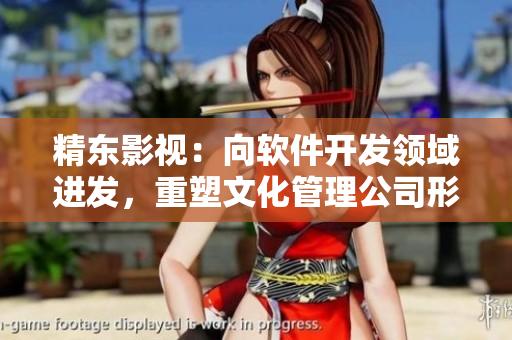精東影視：向軟件開發(fā)領(lǐng)域進(jìn)發(fā)，重塑文化管理公司形象