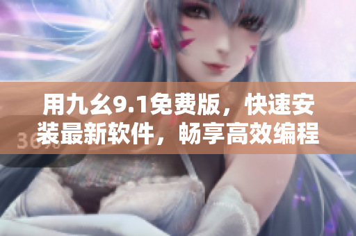用九幺9.1免費(fèi)版，快速安裝最新軟件，暢享高效編程體驗(yàn)