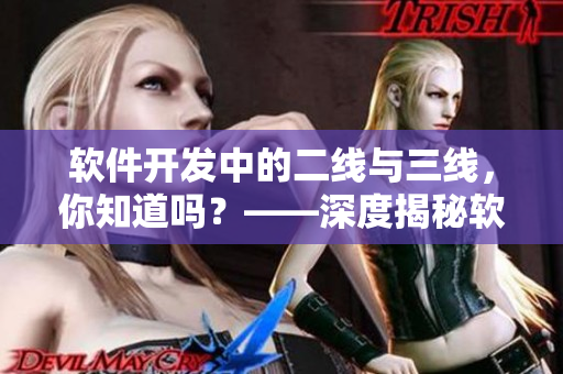 軟件開(kāi)發(fā)中的二線(xiàn)與三線(xiàn)，你知道嗎？——深度揭秘軟件開(kāi)發(fā)中的團(tuán)隊(duì)分工