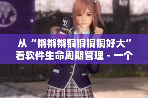 從“鏘鏘鏘銅銅銅銅好大”看軟件生命周期管理 - 一個(gè)編輯的思考