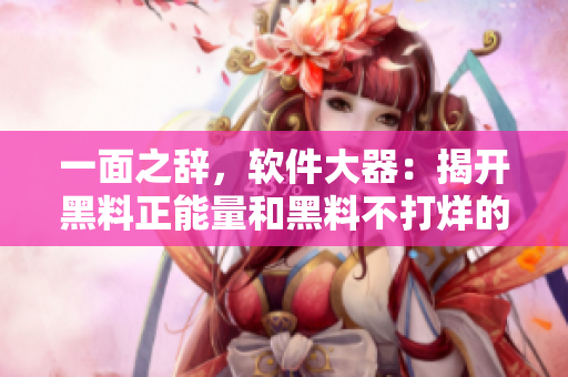 一面之辭,軟件大器:揭開黑料正能量和黑料不打烊的神秘面紗 一面之辭,軟件大器:揭開黑料正能量和黑料不打烊的神秘面紗
