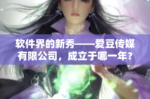 軟件界的新秀——愛豆傳媒有限公司，成立于哪一年？