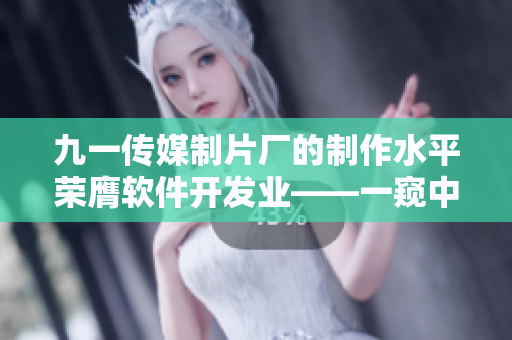 九一傳媒制片廠的制作水平榮膺軟件開(kāi)發(fā)業(yè)——一窺中國(guó)頂尖軟件制片人的秘密！
