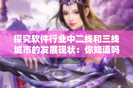 探究軟件行業(yè)中二線和三線城市的發(fā)展現(xiàn)狀：你知道嗎？