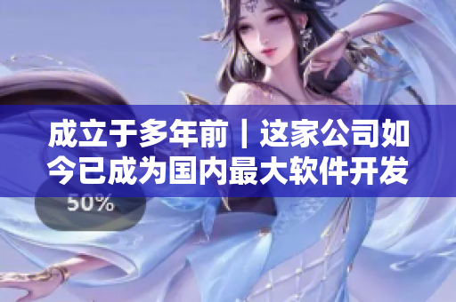 成立于多年前｜這家公司如今已成為國(guó)內(nèi)最大軟件開(kāi)發(fā)企業(yè)