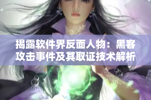 揭露軟件界反面人物：黑客攻擊事件及其取證技術(shù)解析