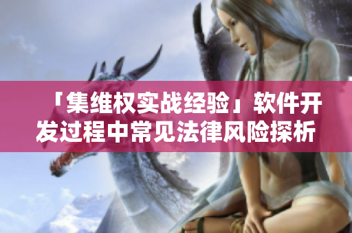 「集維權(quán)實(shí)戰(zhàn)經(jīng)驗(yàn)」軟件開發(fā)過程中常見法律風(fēng)險(xiǎn)探析
