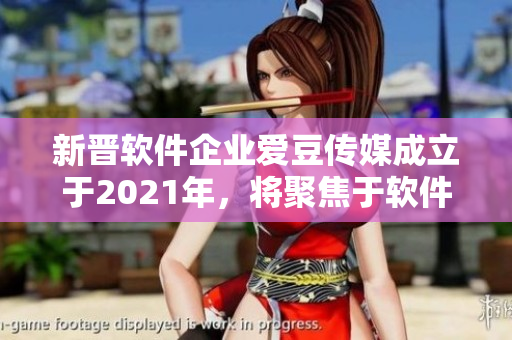 新晉軟件企業(yè)愛豆傳媒成立于2021年，將聚焦于軟件行業(yè)報道