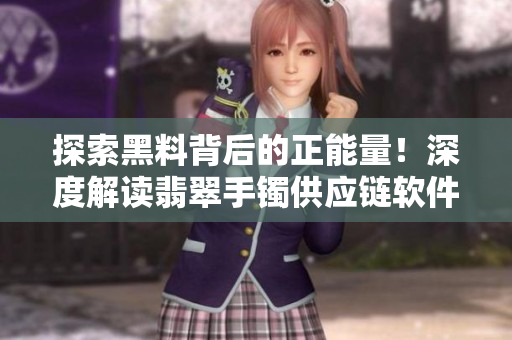 探索黑料背后的正能量！深度解讀翡翠手鐲供應(yīng)鏈軟件化的驅(qū)動力